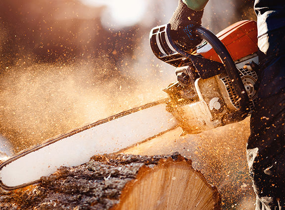 Chainsaw sawing through a log