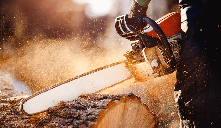 Chainsaw sawing through a log