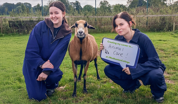 Two Animal Care students either side of a Cameroon sheep