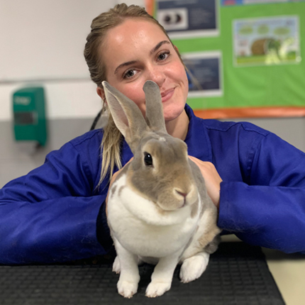 Photo of Animal Care student with Rabbit