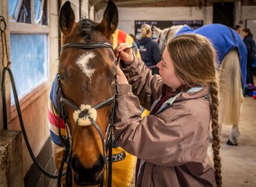 Photo of a student fitting a bridal on a horse in the undercover practical facilities