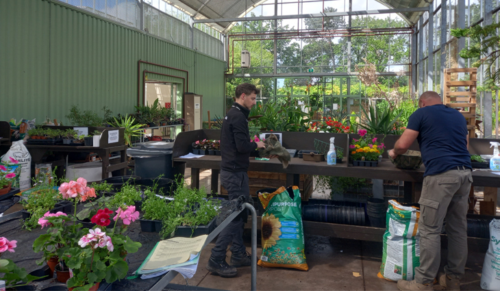 Two RHS Horticulture students working in the glasshouse